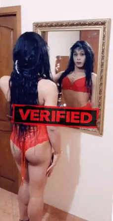 Adriana Sex Prostituierte Avelgem