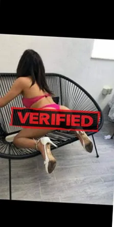 Andrea Pornostarr Finde eine Prostituierte Zottegem